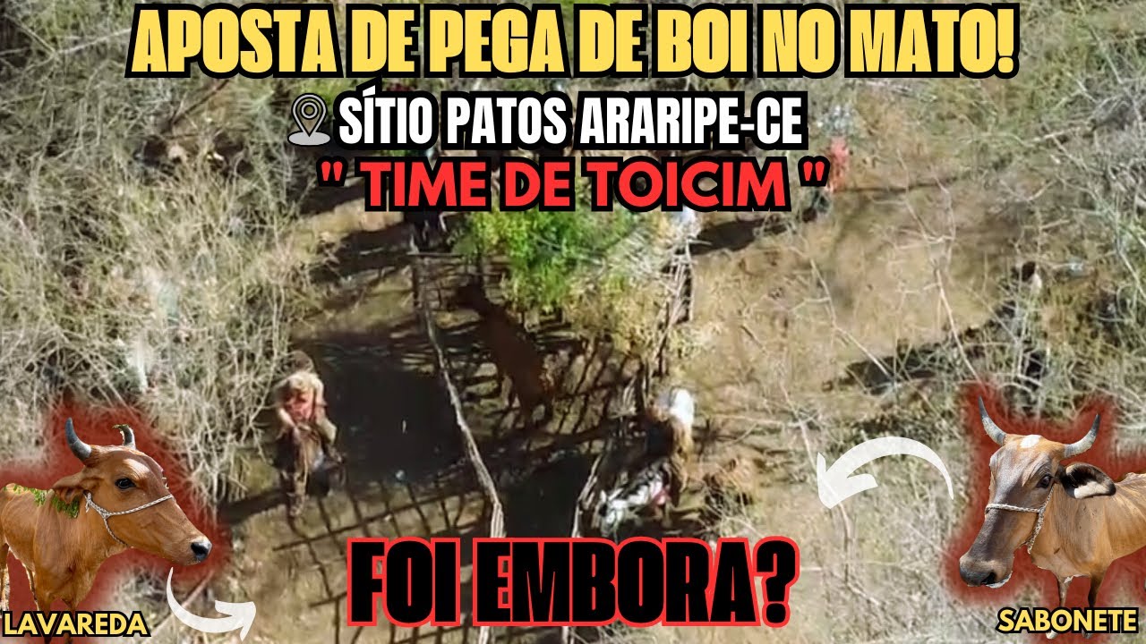 APOSTA DE PEGA DE BOI NO MATO  “TIME DE TOICIM” ( SÍTIO PATOS ARARIPE-CE) 