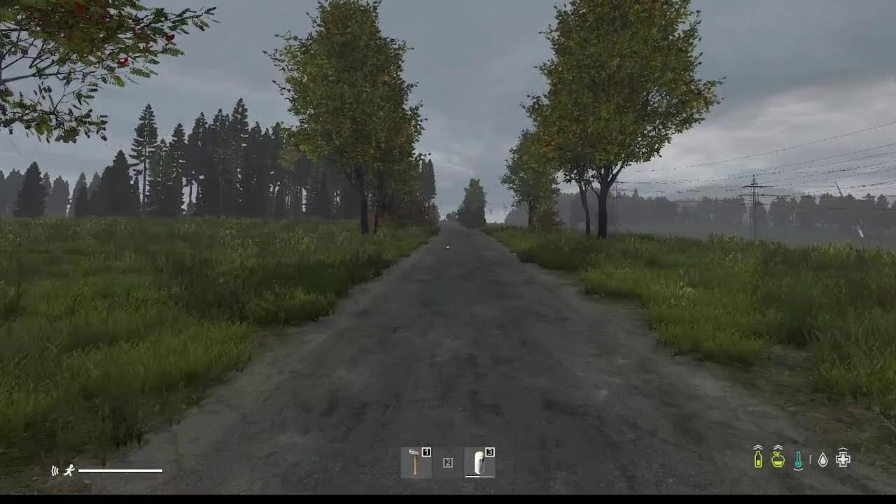 Тест СТРИМ DAYZ0