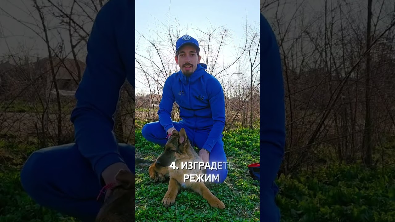 7 съвета за ново кученце в дома 