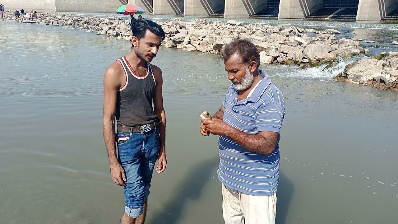 Head Balloki par fish 🐠 ka shakar ho raha ha