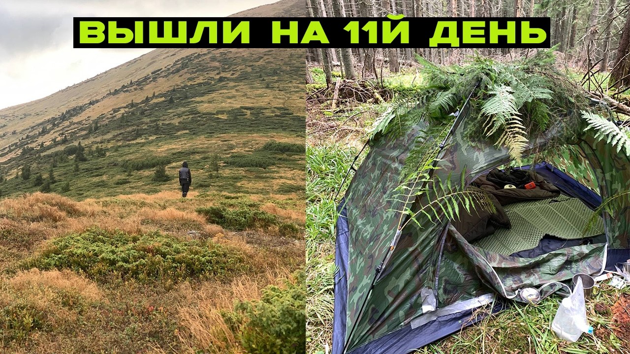 Выход с братом. Платил 2 раза, и 2 раза кинули.