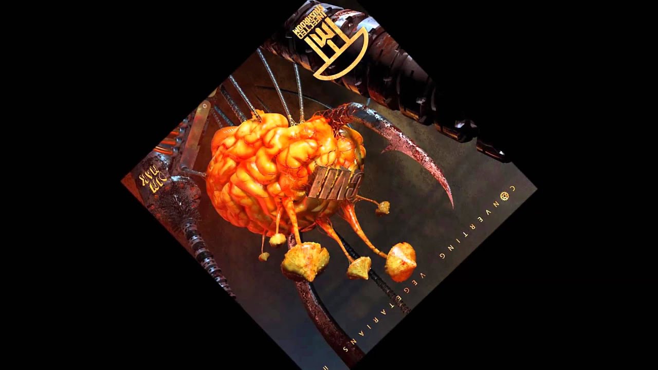 Infected Mushroom  - Stuck in a Loop 