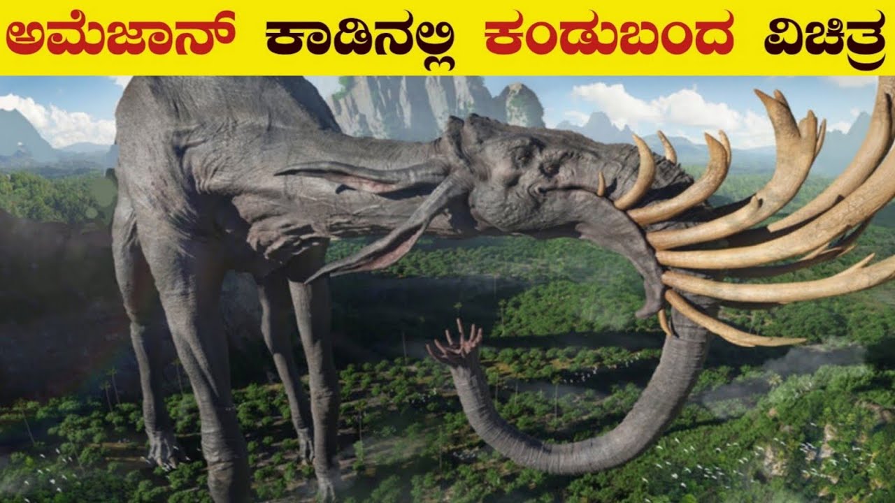 Amazon Rainforest Mystery Explained In Kannada | Dangerous Creatures of Amazon | Think Forever
