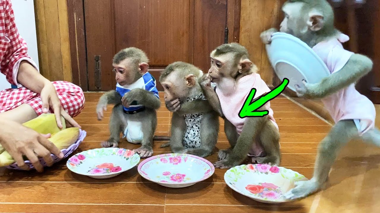 [Judee's Family Dinner] Little Queen WELL Arranged Everything