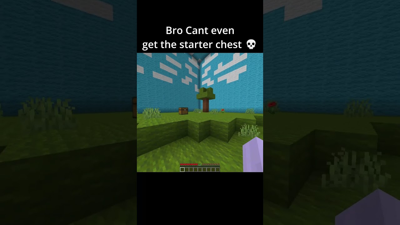 Minecraft Free Edition Ads