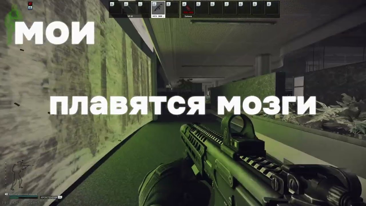 Мои мозги... 