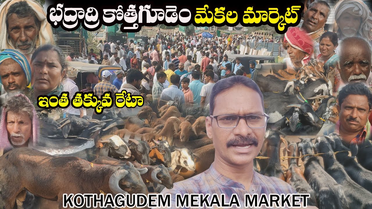 Amezing kothagudem santha mekala market food market కొత్తగూడెం సంత మేకల మార్కెట్ ఫుడ్ మార్కెట్