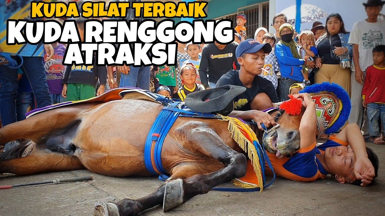 Kuda renggong - Atraksi kuda renggong geboy grup