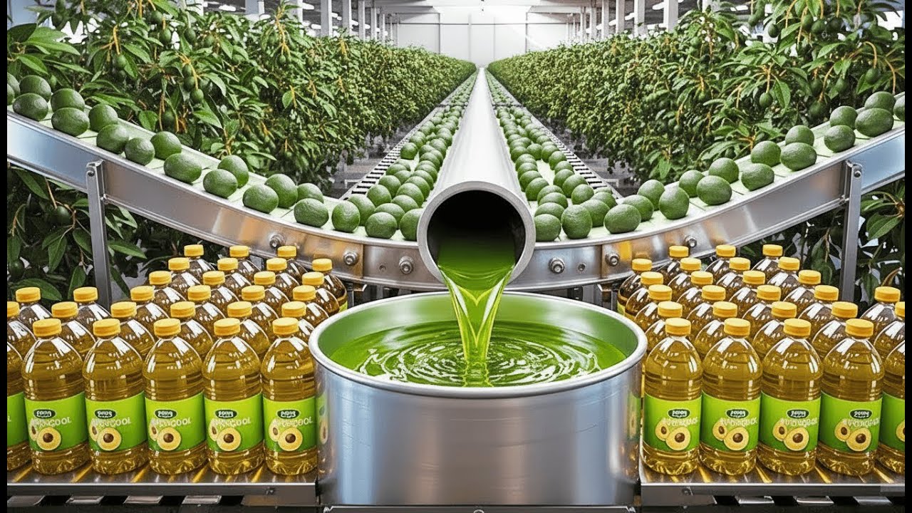 Inside the Avocado Oil Factory 🥑⚙️  How MILLIONS of Bottles Are Made Every Day Shocking Process!