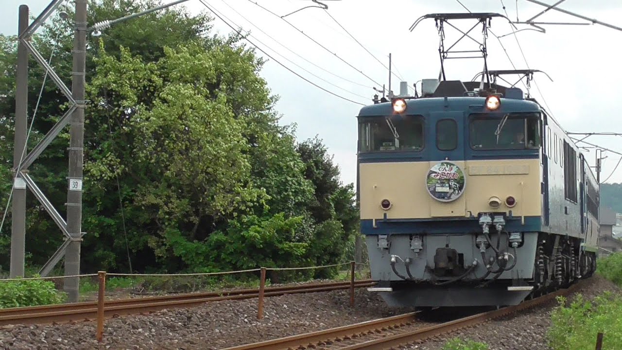 2024年8月25日　国鉄最後の新製電気機関車EF64 1053 牽引 快速｢ELぐんま よこかわ｣  EF64 1053＋12系客車 5両＋蒸気機関車 C61 20　JR信越線 磯部～松井田 間