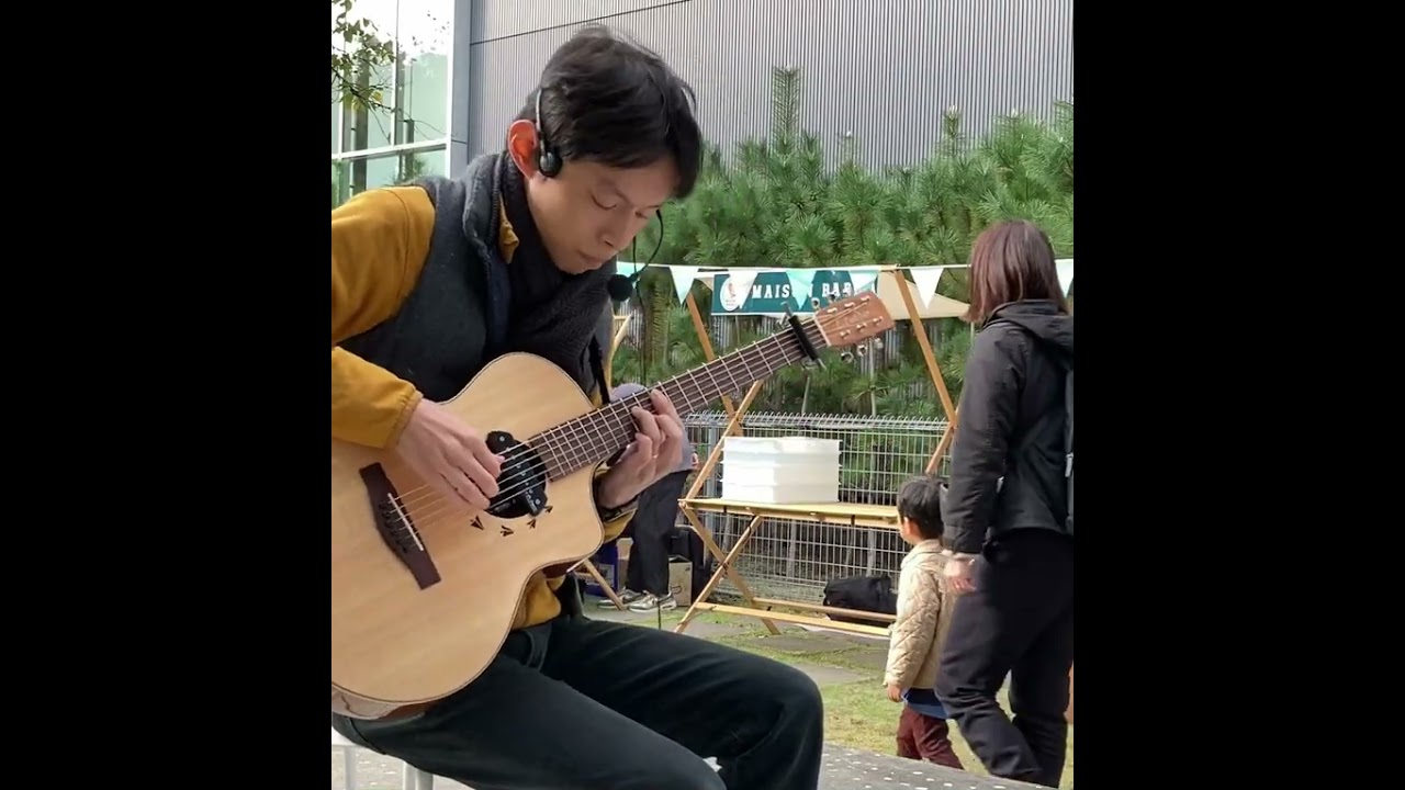 Beauty and the Beast 美女と野獣 Fingerstyle Guitar