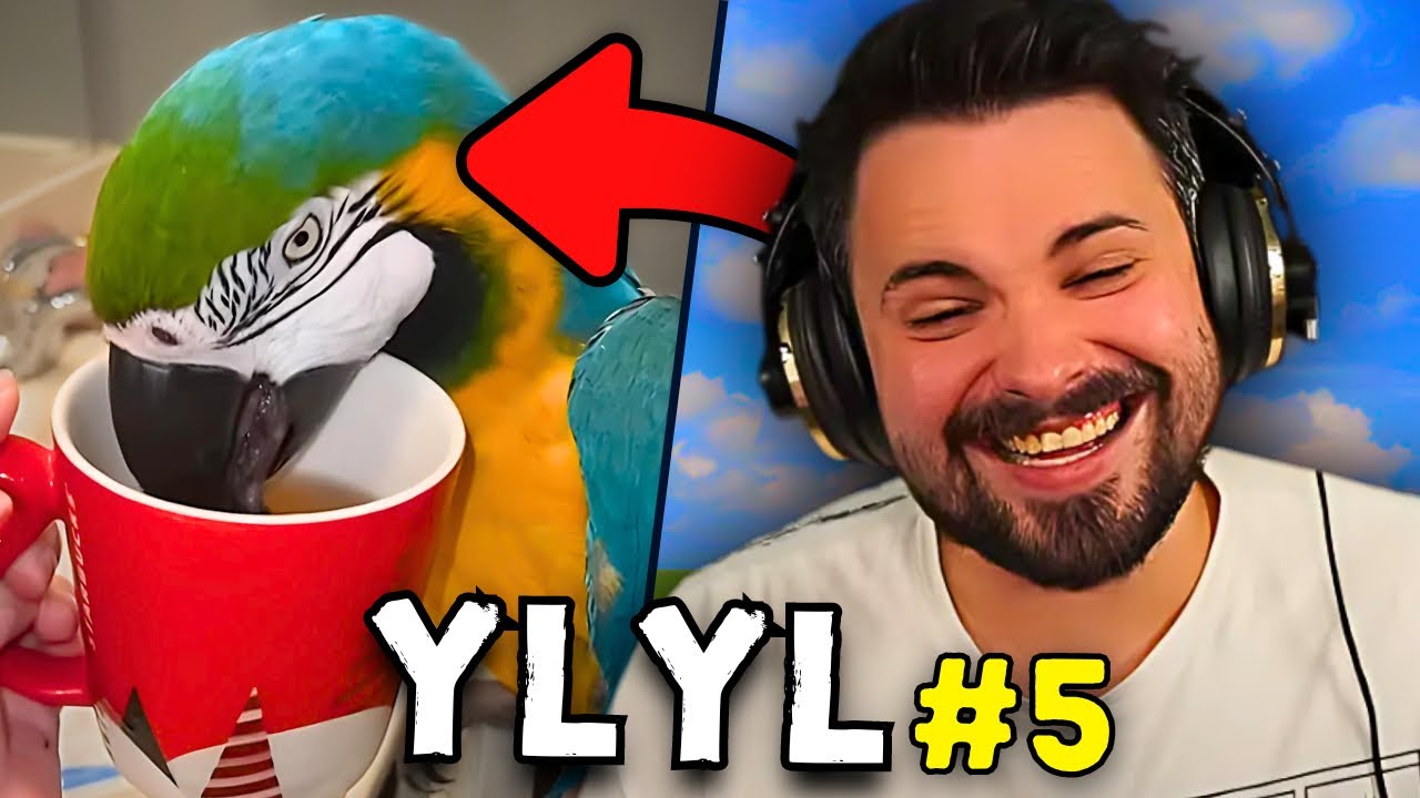 YLYL #5 - Tivolt ogląda śmieszne filmy