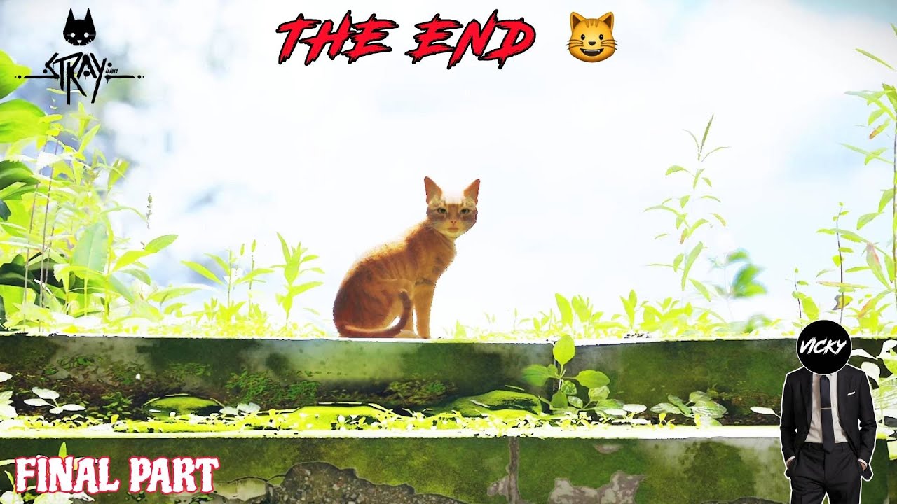 he Journey Ends… 🐱💔 | Stray Final Part | Vicky Holic