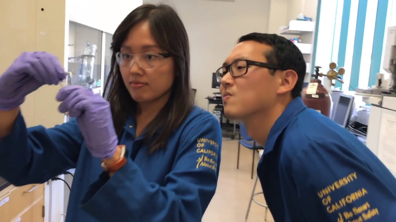 Mannechem: Dong Group Mannequin Challenge