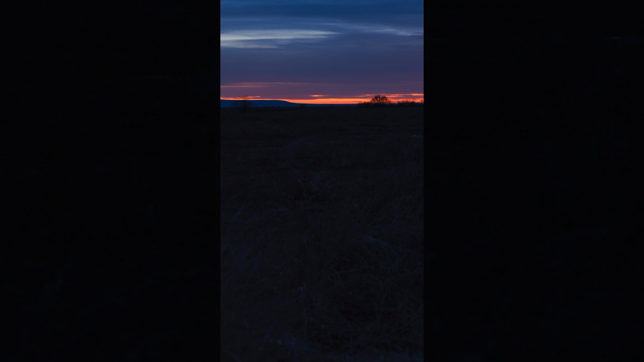 Photography at Sunset #endofbeginning #shorts #sunsetphotography