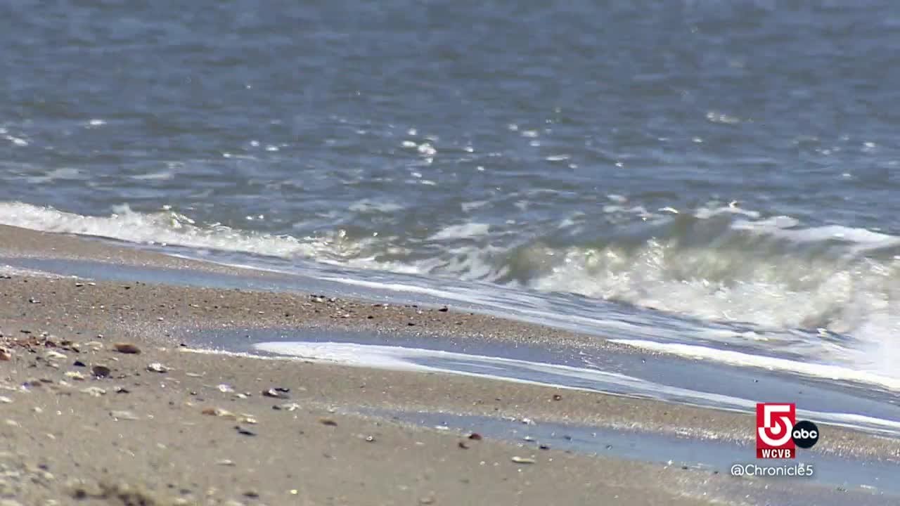This coastal Connecticut town is teeming with wildlife