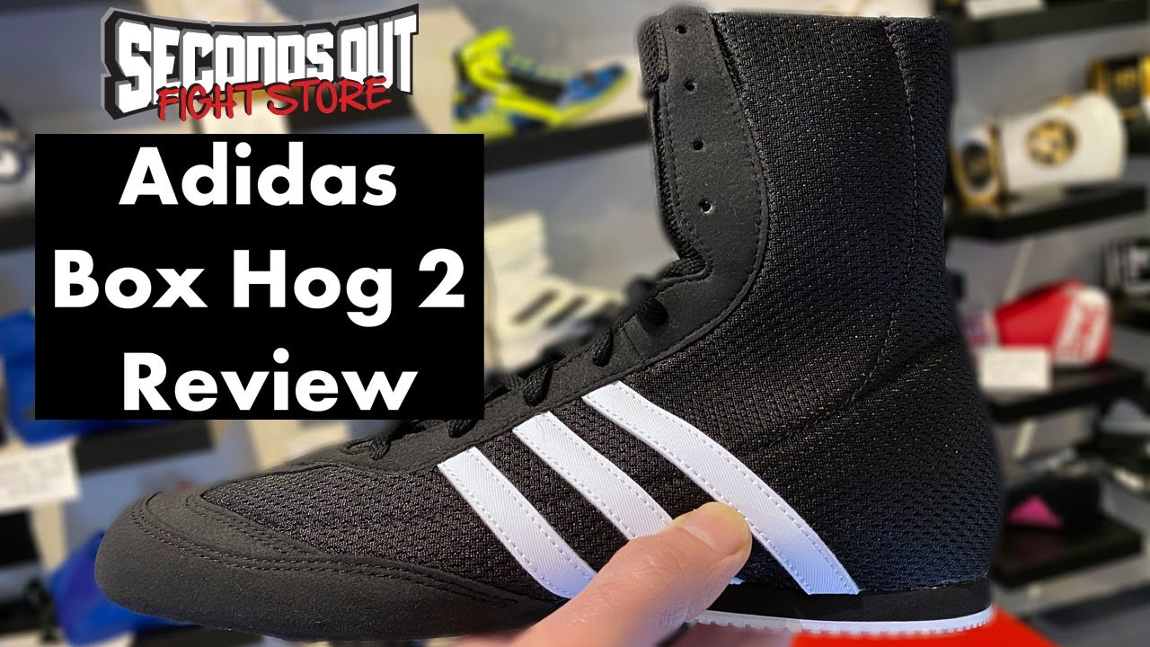 Обзор боксерских ботинок Adidas Box Hog 2