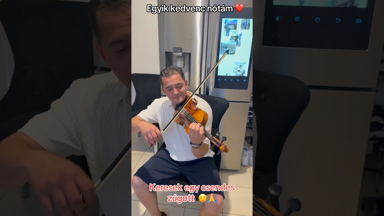 N&oacute;ta C&iacute;m: keresek egy csendes z&uacute;gott. #violin  #hegedű #n&oacute;ta  #magyarorsz&aacute;g  #hungary  #music #fyp
