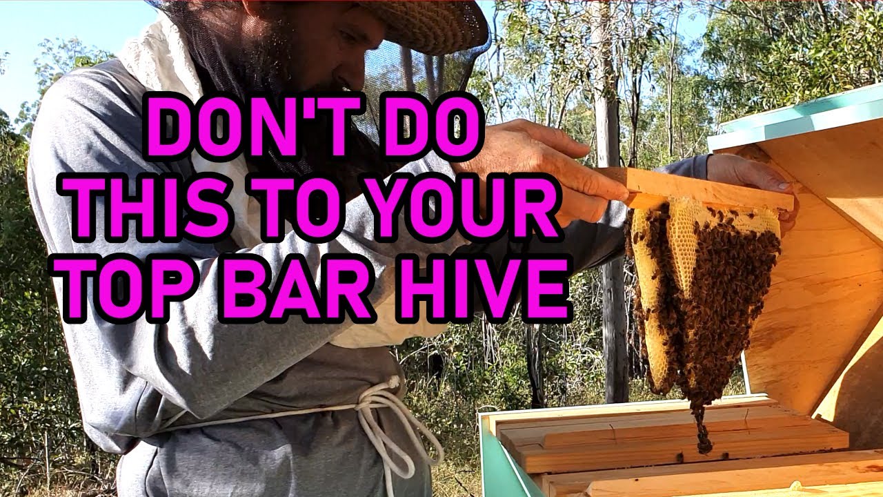 Top Bar Hive 5 month inspection, badly managed combs.