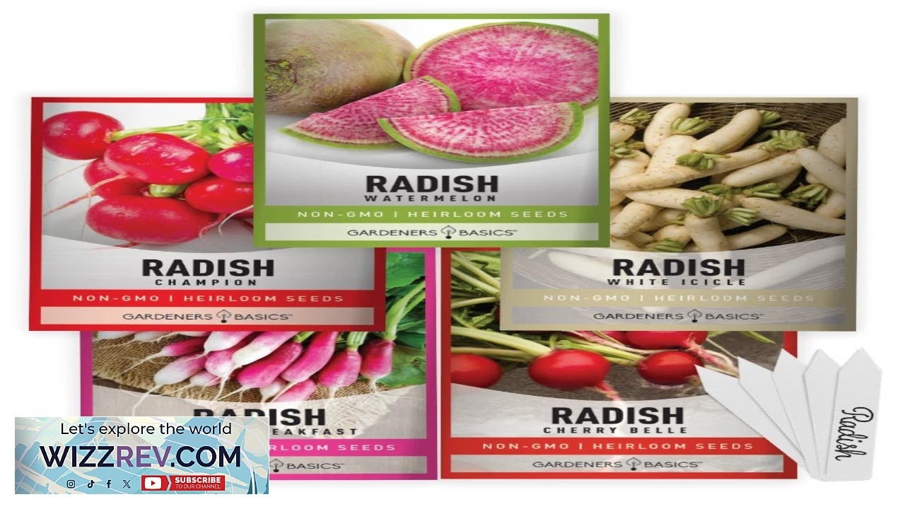 Radish Seed Assortment 5 Variety Pack eBay
