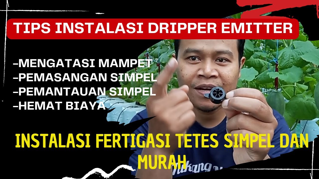 Instalasi fertigasi tetes yang simpel dan murah, tips supaya tidak mampet di saluran dripp irigasi.