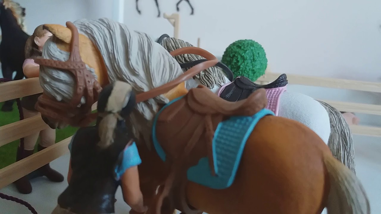 Stajnia Folwark#50- Nowy kuc i Pani Marta