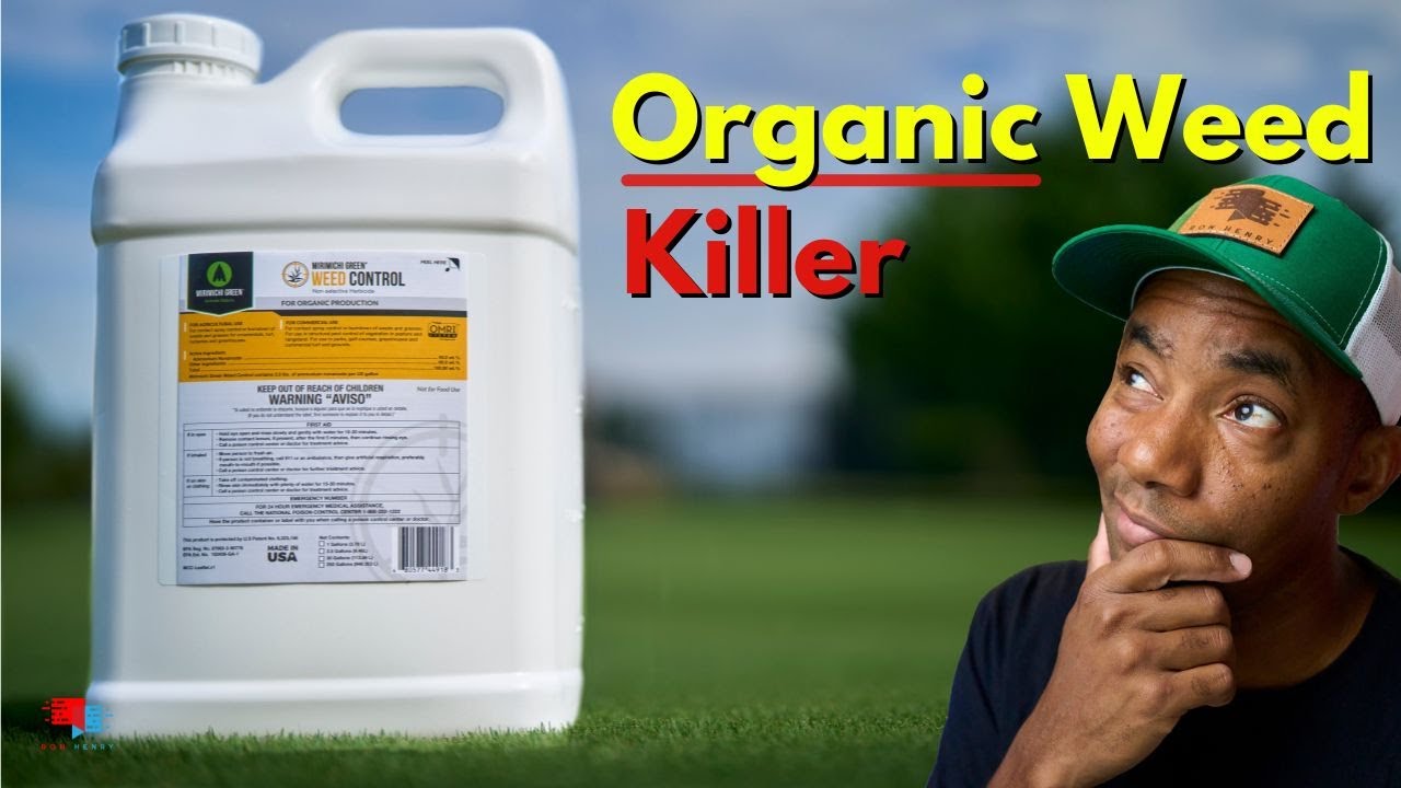 Kill Weeds Organically - Mirimichi Green Weed Control