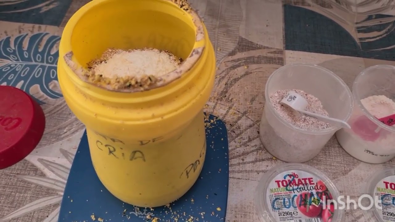 PREPARACIÓN DE PASTA DE CRIA 