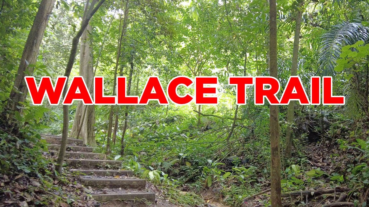 Wallace Trail || Walking Singapore
