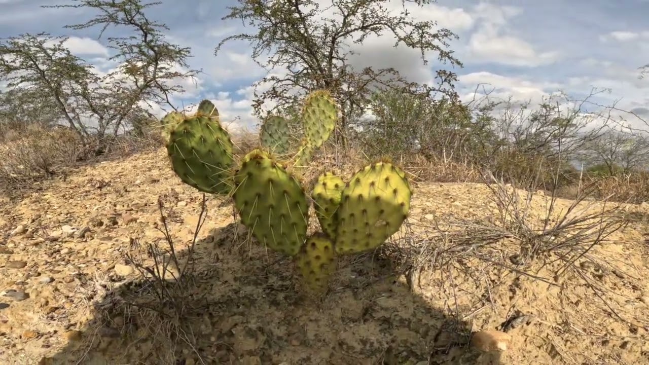 Riding out Fern at Lake Casablanca