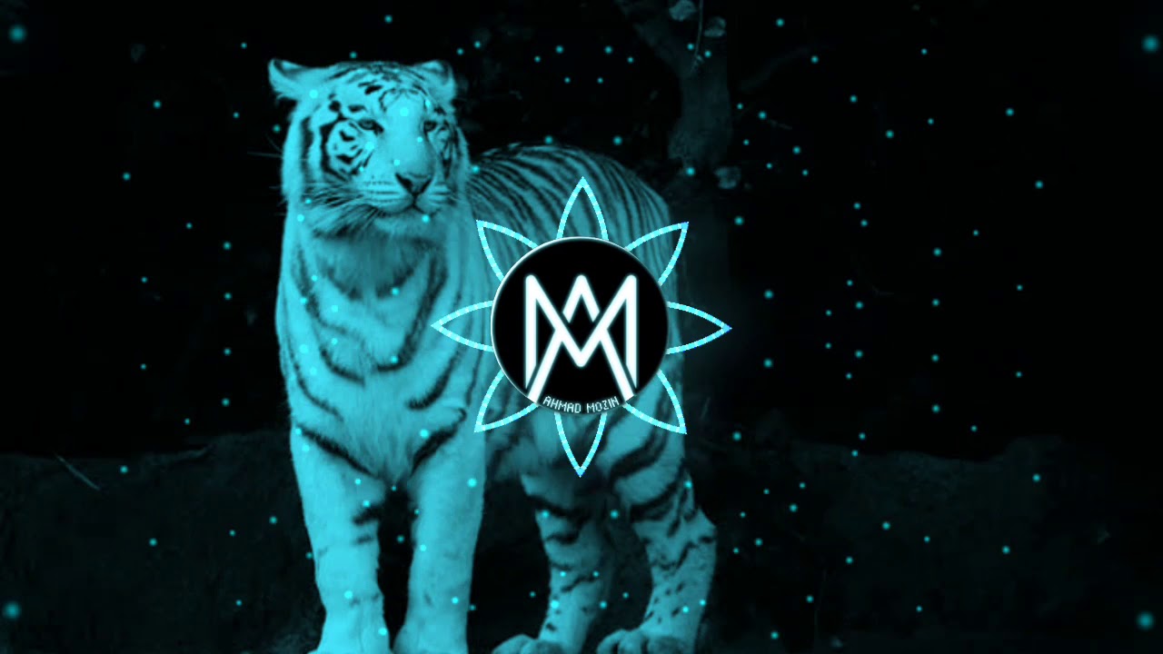 Dj Official Macan Putih (Batuda'a)