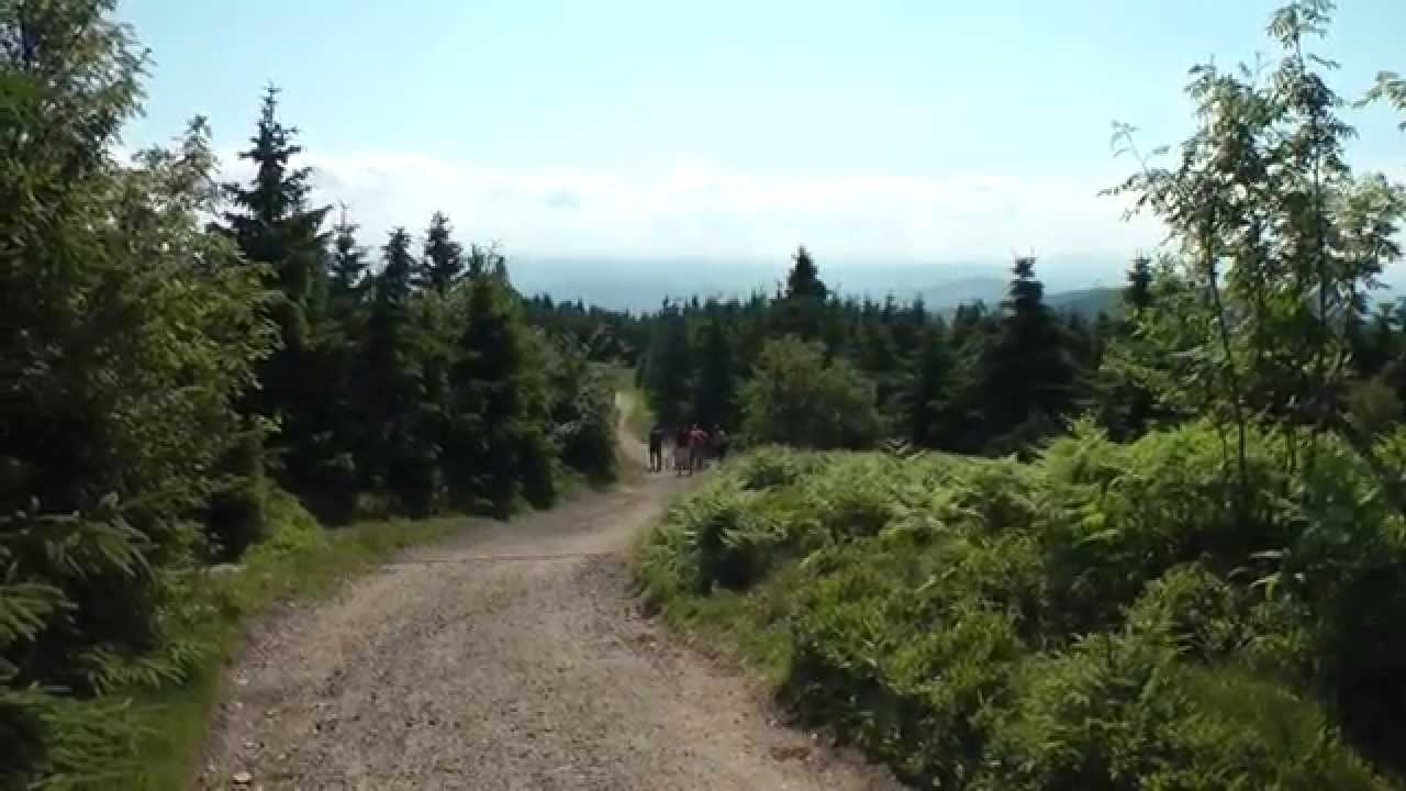 🇨🇿 JE&Scaron;TĚD 1012 m  - szczyt g&oacute;rujący nad Libercem