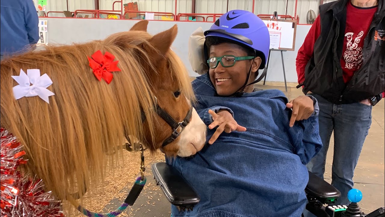 Christmas Spirit 2024 #volunteering #equineassistedlearning
