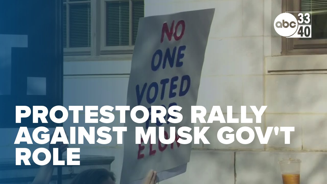 'Unelected billionaire:' Protestors rally against Musk's role in federal government
