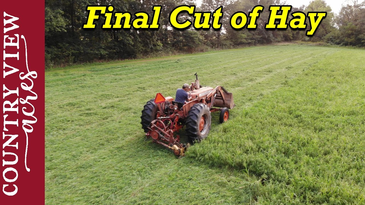 Final cutting of hay.  Will the Sicklebar mower do a good job?