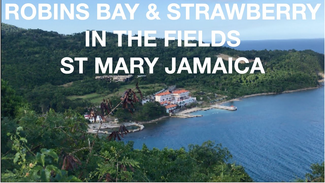 ROBINS BAY ST MARY - SUNDAY CHILL | JAMAICA VLOGS