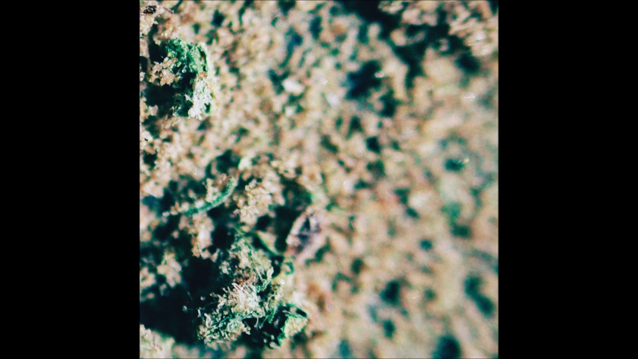 GREENGO - Inhale