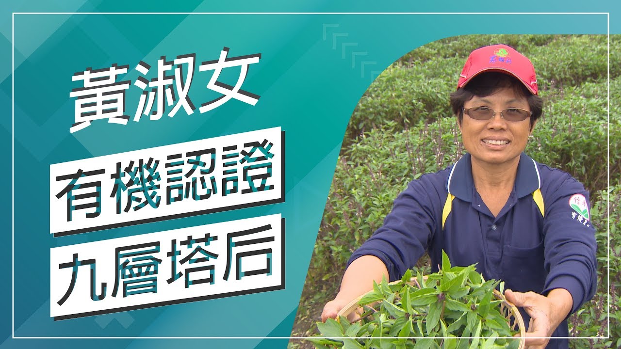 草地狀元-有機認證九層塔后(20180326播出)careermaster