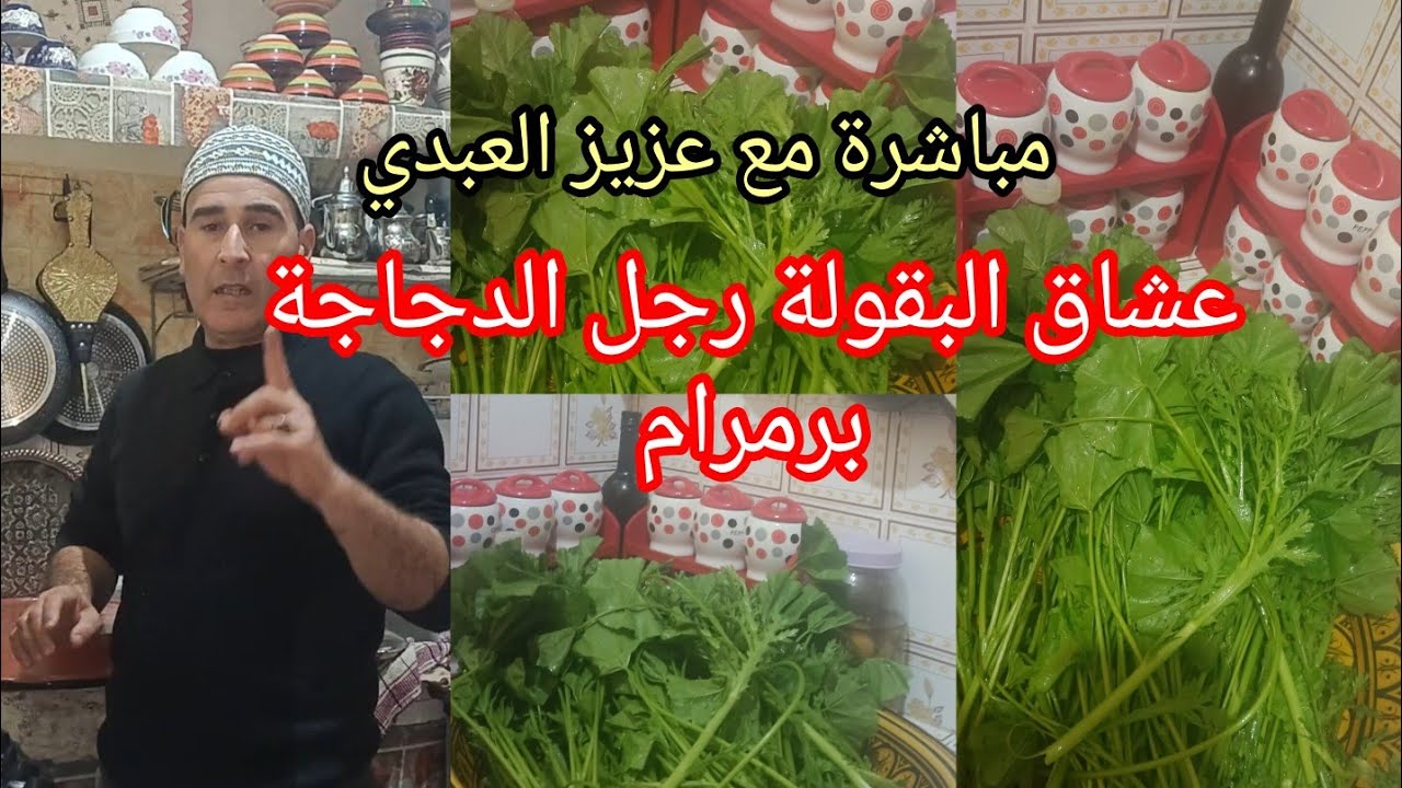 عشاق رجل الدجاجة البقولة برمرام 👌 هدا وقتها مكونات 