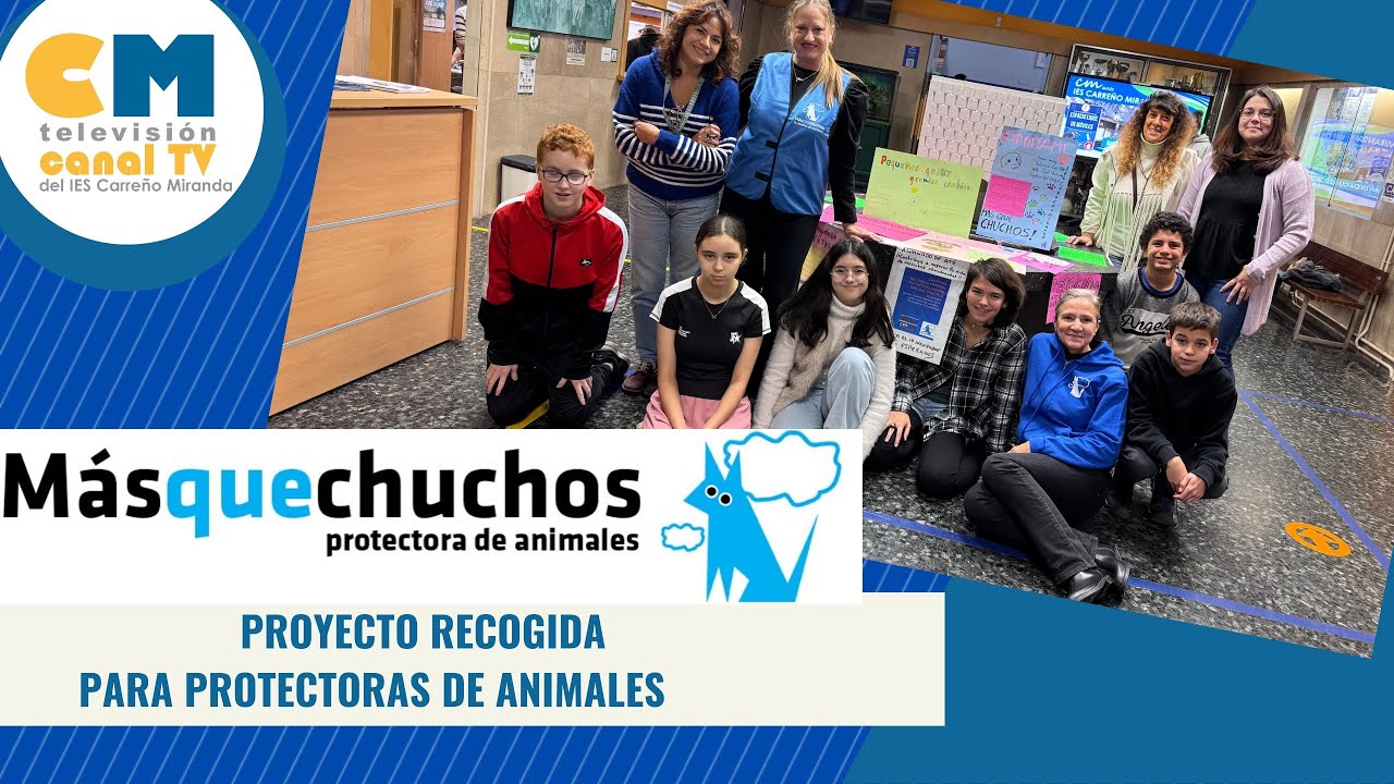 Campaña solidaria con la protectora “Más que Chuchos” 