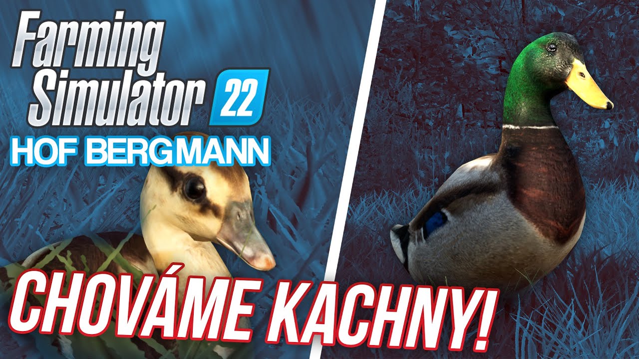 CHOVÁME KACHNY! | Farming Simulator 22 Hof Bergmann #03