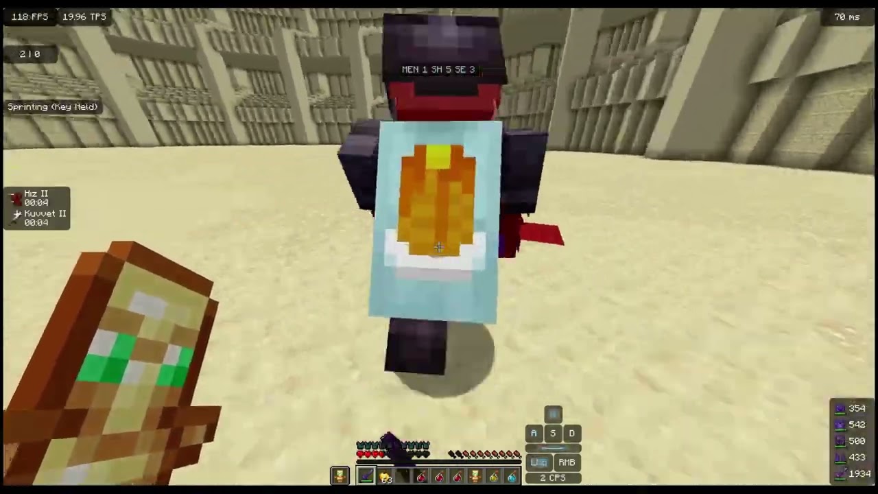 CatPvP R4PE #1
