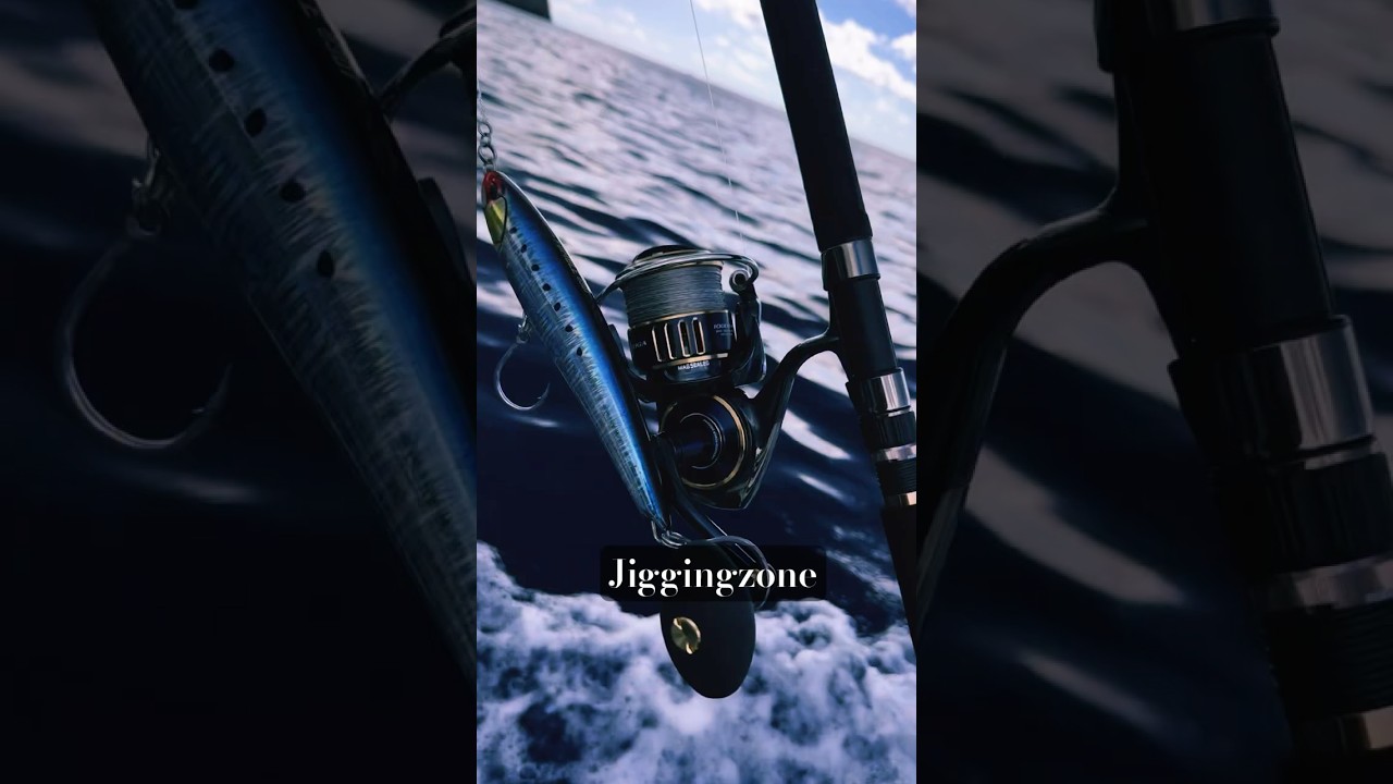 ZENAQ & DAIWA SALTIGA 