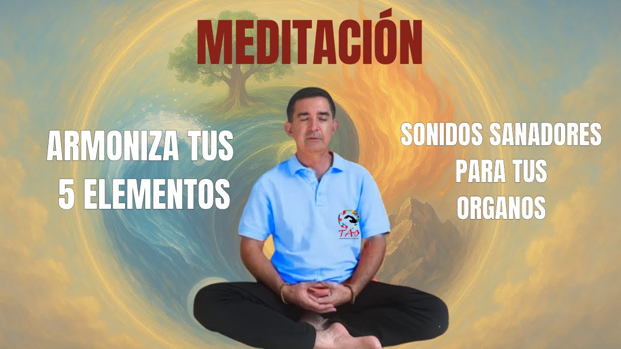 Los sonidos que sanan ☯️ Armonización de los órganos internos