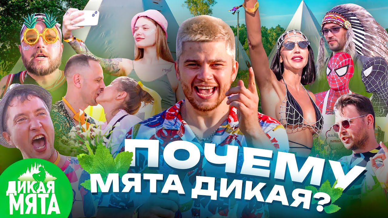 ДИКАЯ МЯТА 2023 - ПОЧЕМУ МЯТА ДИКАЯ?