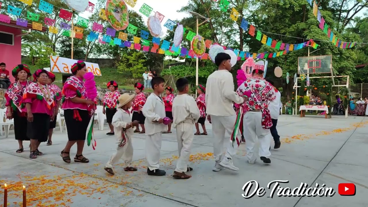 DANZA REY COLORADO DE TIMOTEO CELSO LUIS