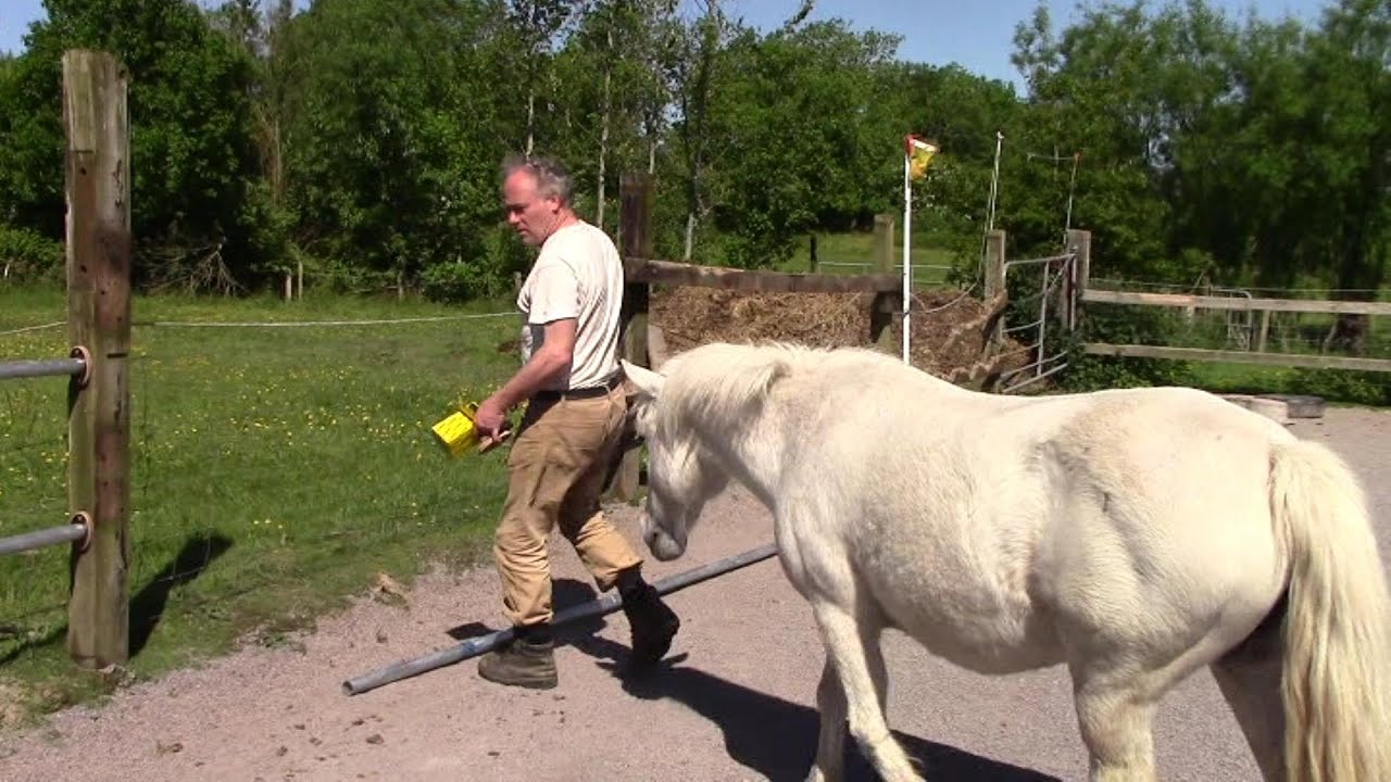 Homemade Permanent Horse Paddock Fencing