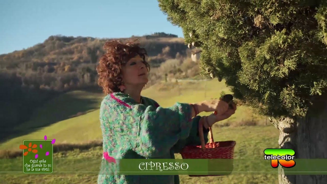 Ogni erba che guarda in su ha la sua virtù: il cipresso 25.01.2022