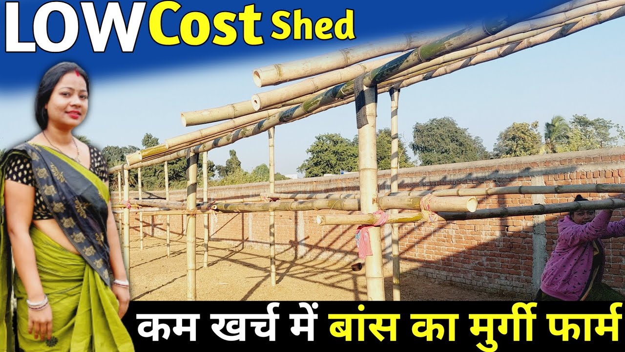 Bamboo Desi Poultry Shed | कम लागत में बना रही हूँ 2000 मुर्गी के लिए नया बाँस का शेड Low Cost Shed
