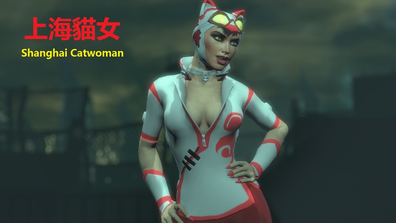 SKIN; Batman; Arkham City; Shanghai Catwoman